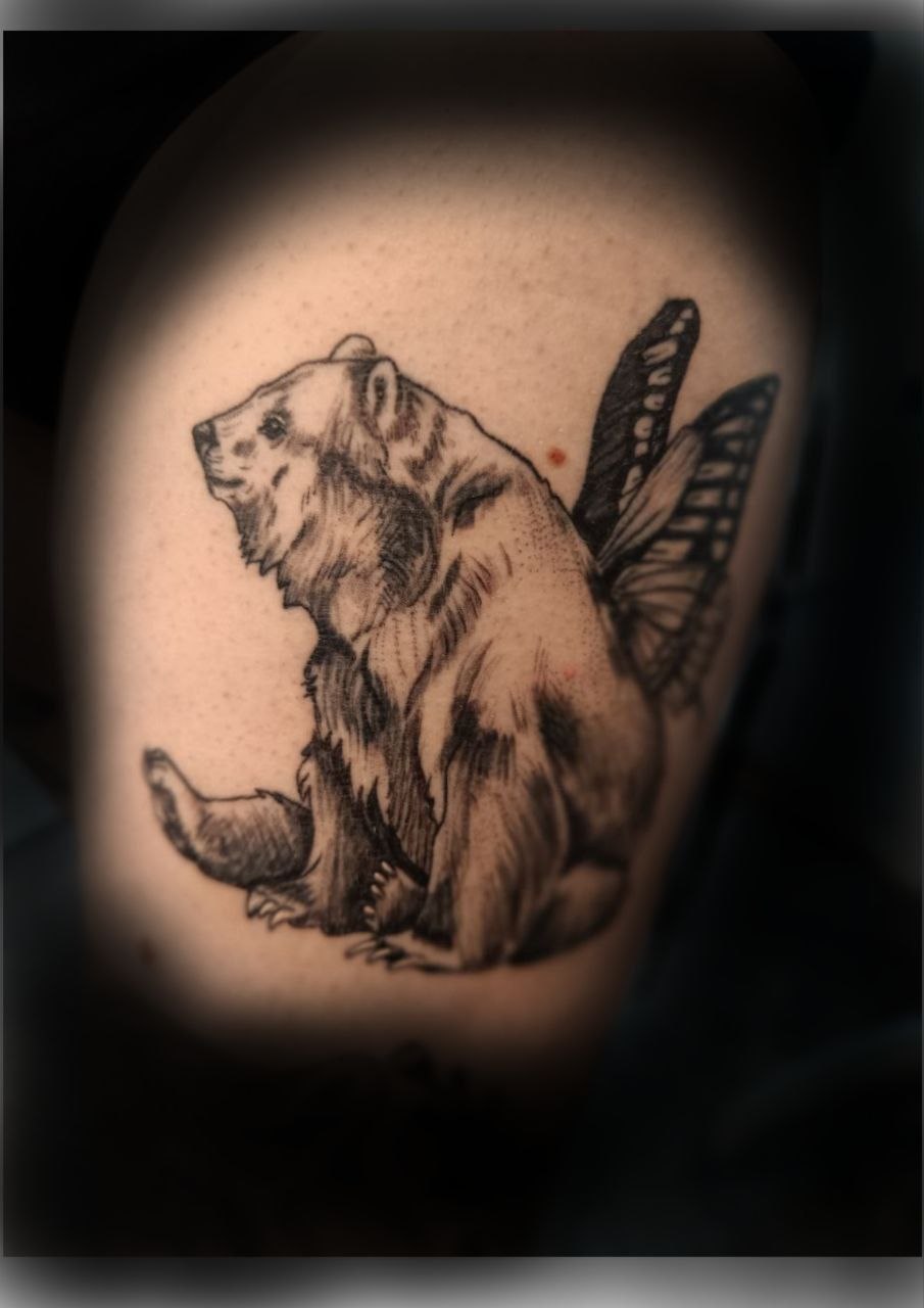 fantasy bär mit schmetterlingflügel black and grey
