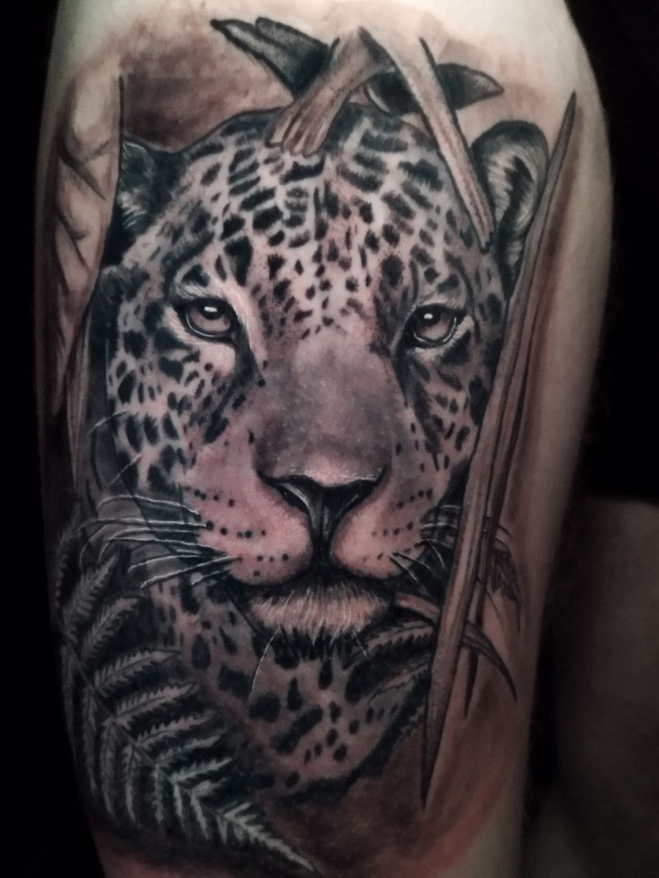 jaguar tattoo realism black and grey sepia tattoo